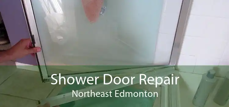 Shower Door Repair Northeast Edmonton