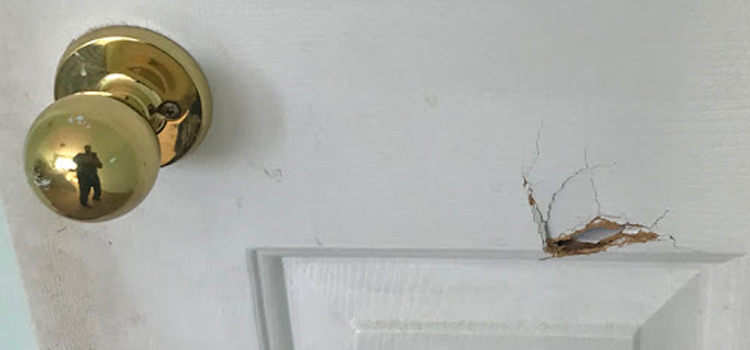 interior door hole repair Northeast Edmonton