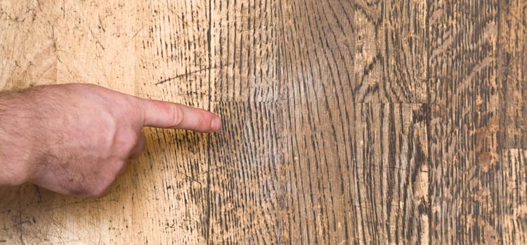 Wood Door Scratch Repair in Northeast Edmonton
